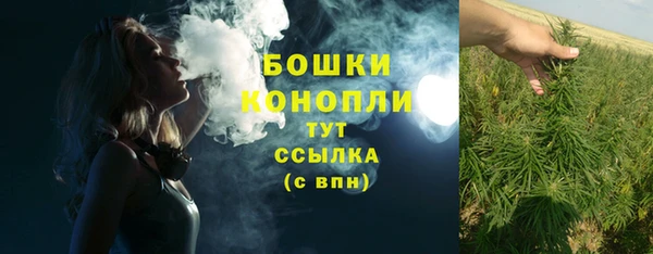 ПСИЛОЦИБИНОВЫЕ ГРИБЫ Сосновка