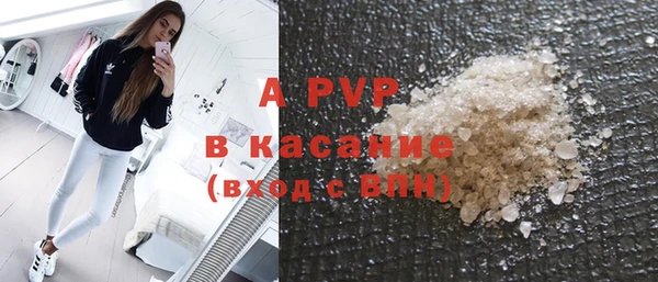 ПСИЛОЦИБИНОВЫЕ ГРИБЫ Сосновка