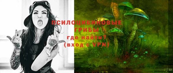 ПСИЛОЦИБИНОВЫЕ ГРИБЫ Сосновка